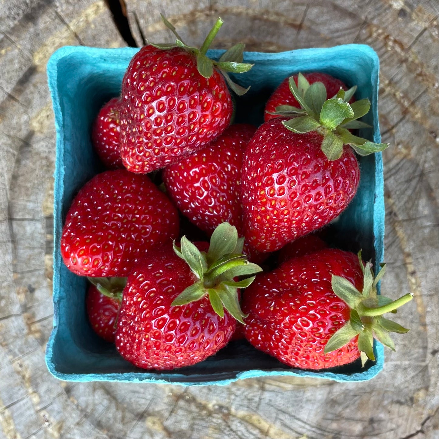 Strawberries - per pint