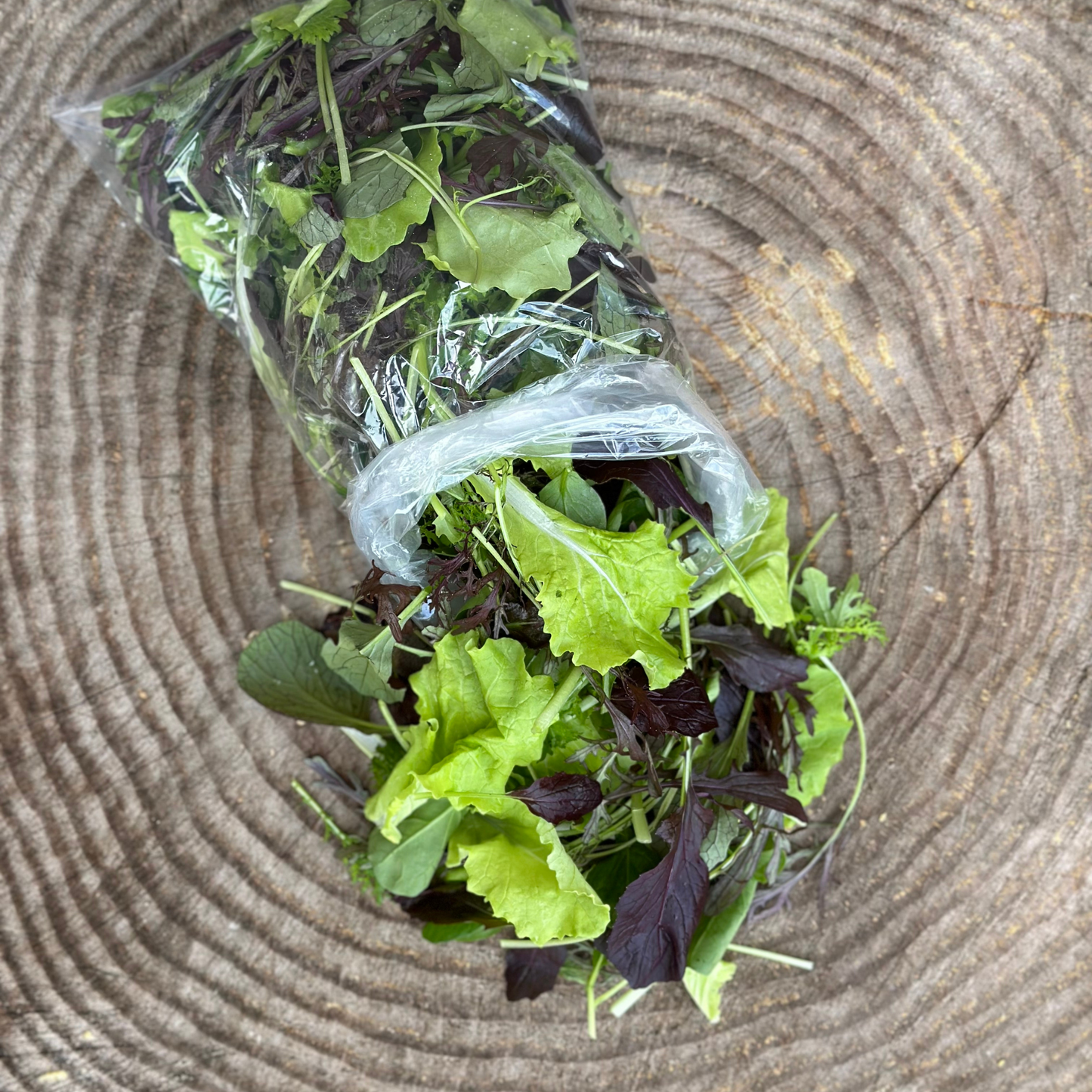 Spring Salad Mix - 1/2 lb. bag