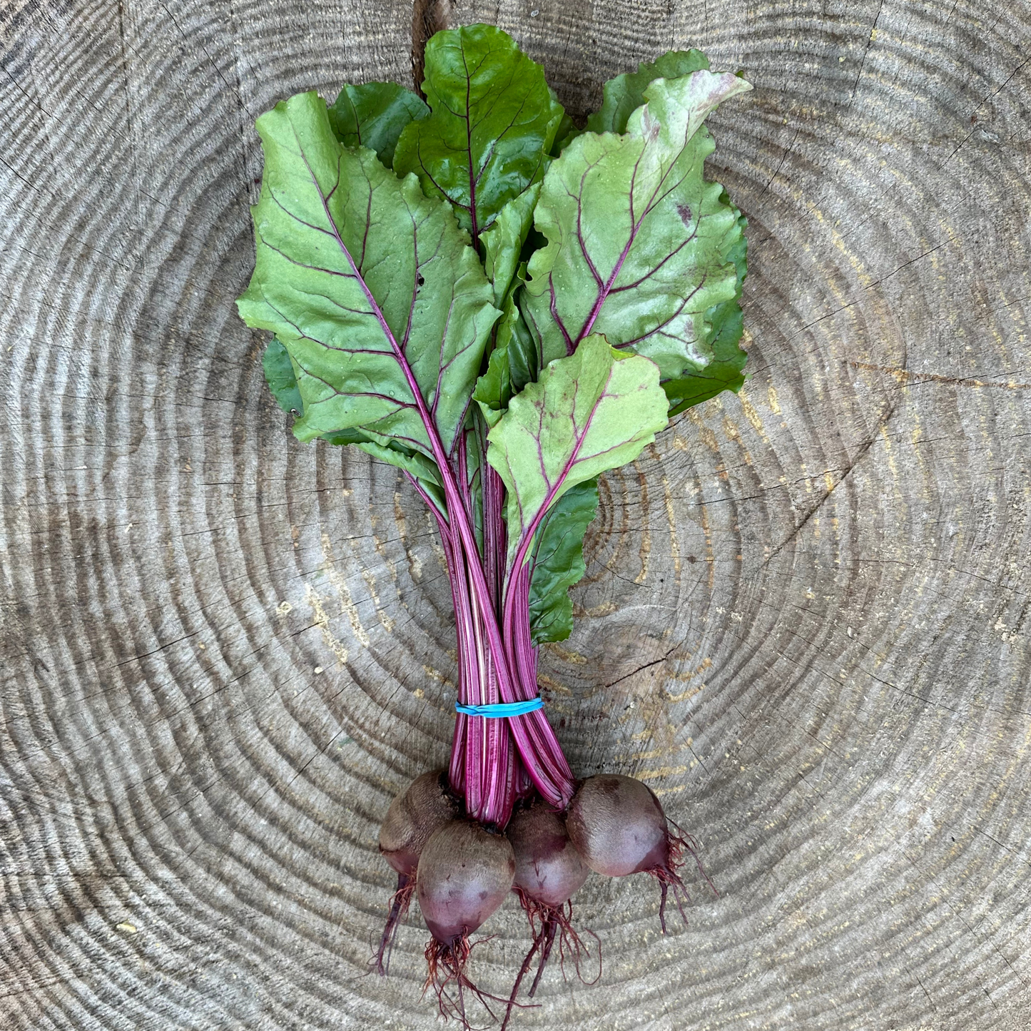 Beets: Red - by the bunch