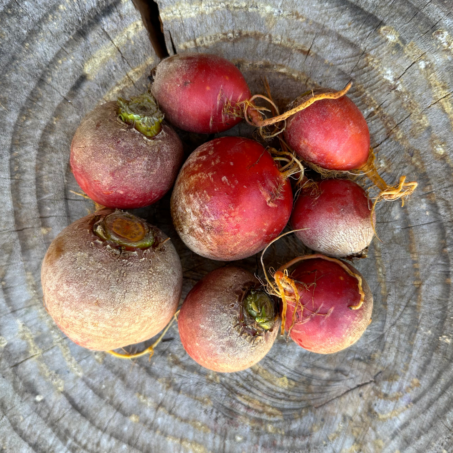 Bulk Beets: Gold - per pound