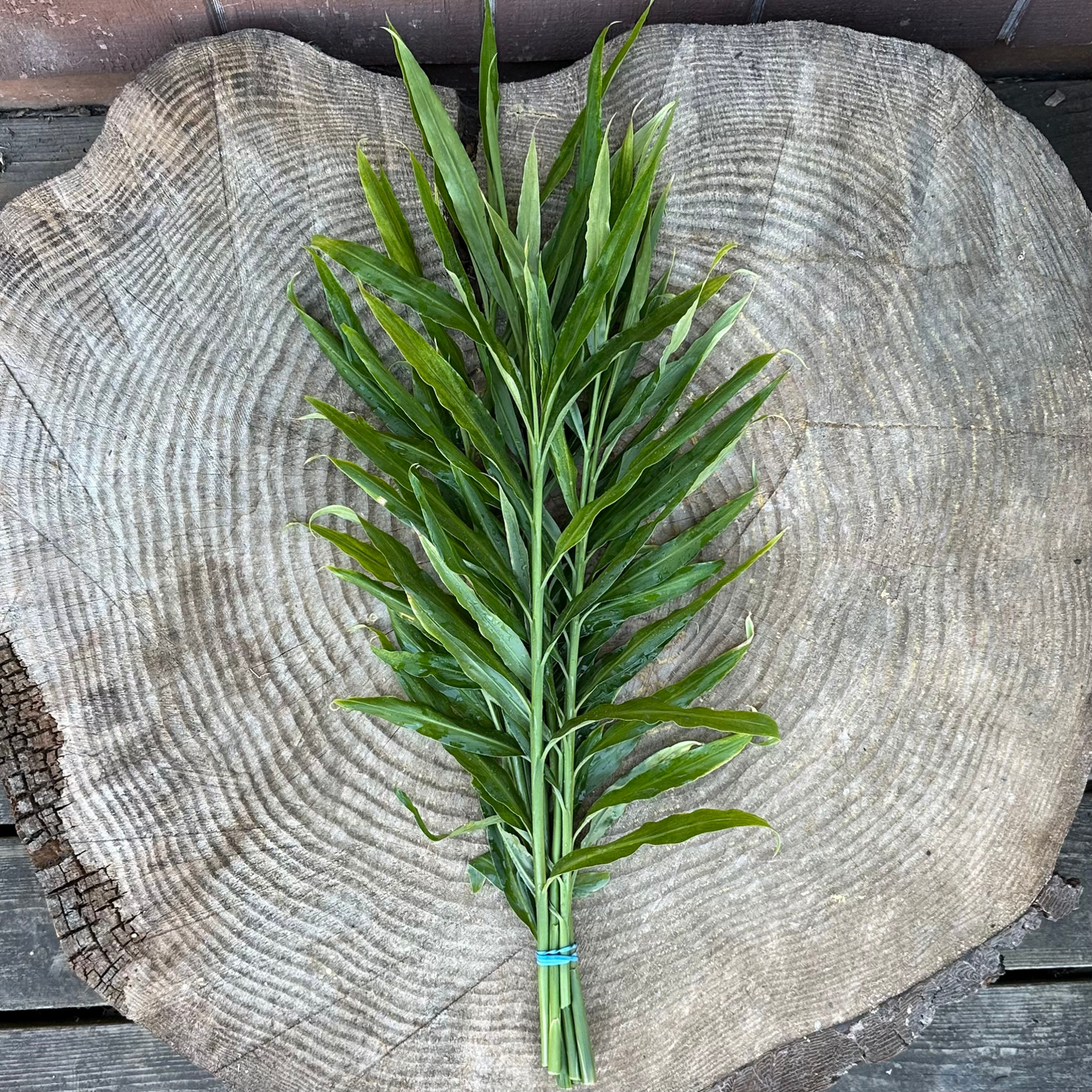 Ginger leaves - per bunch