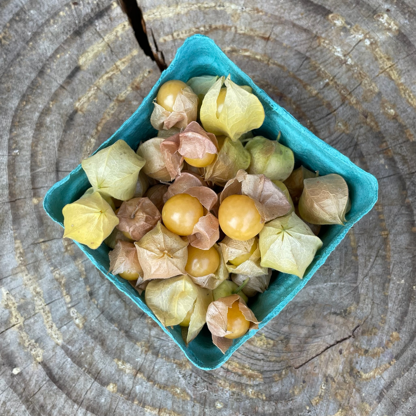 Ground Cherries - per 1/2 pint