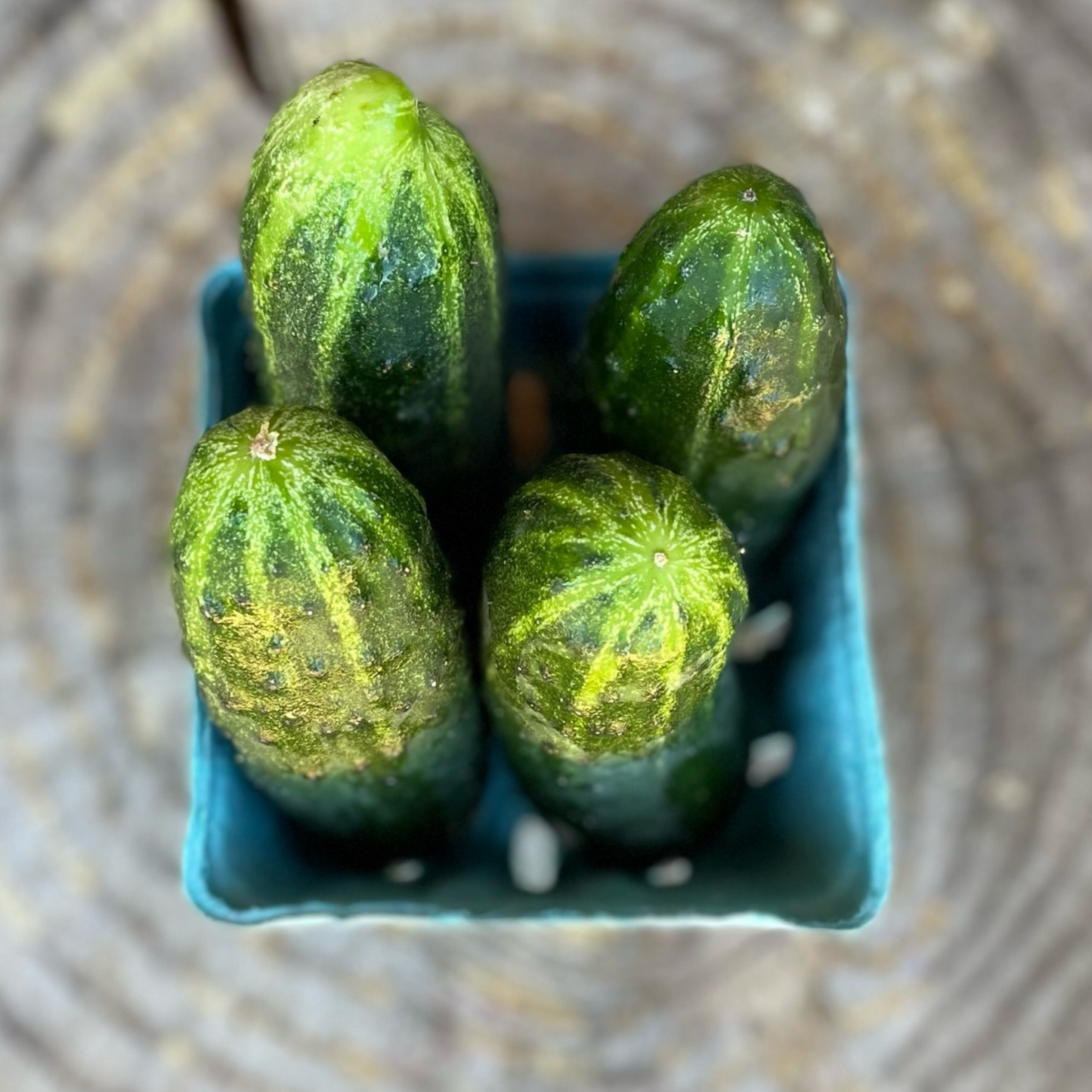 Cucumbers: Pickling per pint