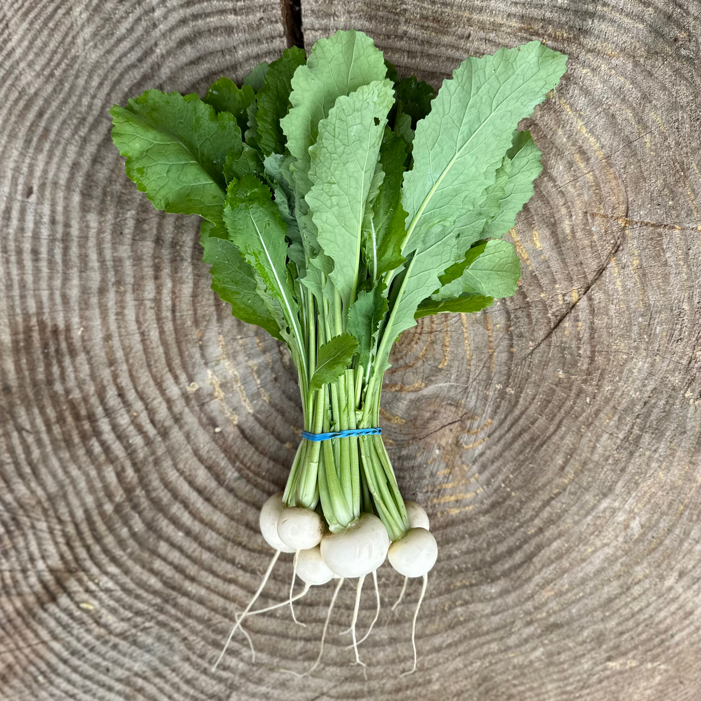 Salad Turnips - per bunch