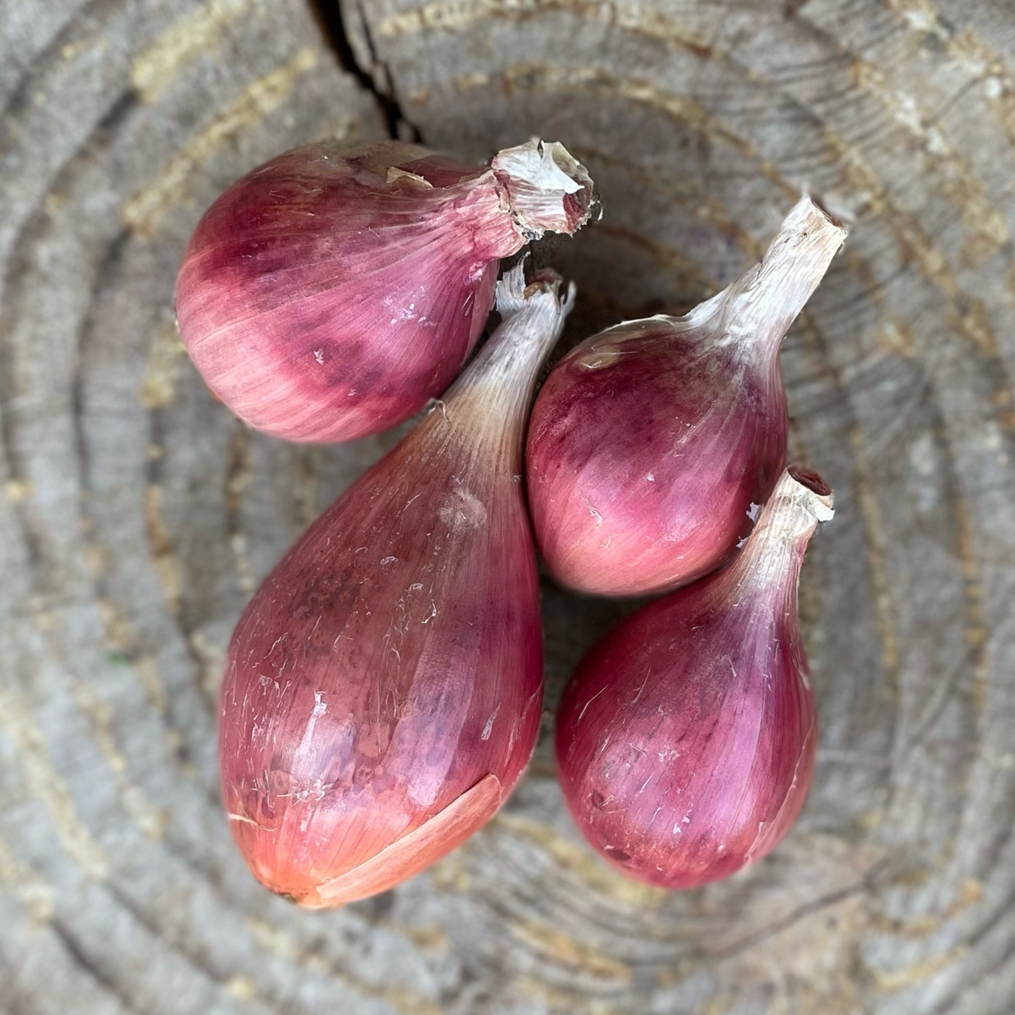 Shallot: per pound