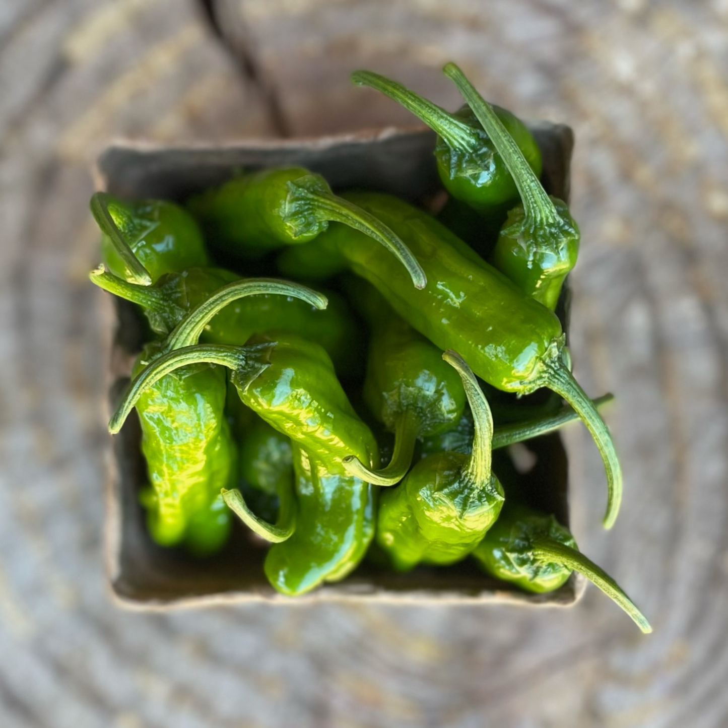 Peppers: Shishitos - per pint