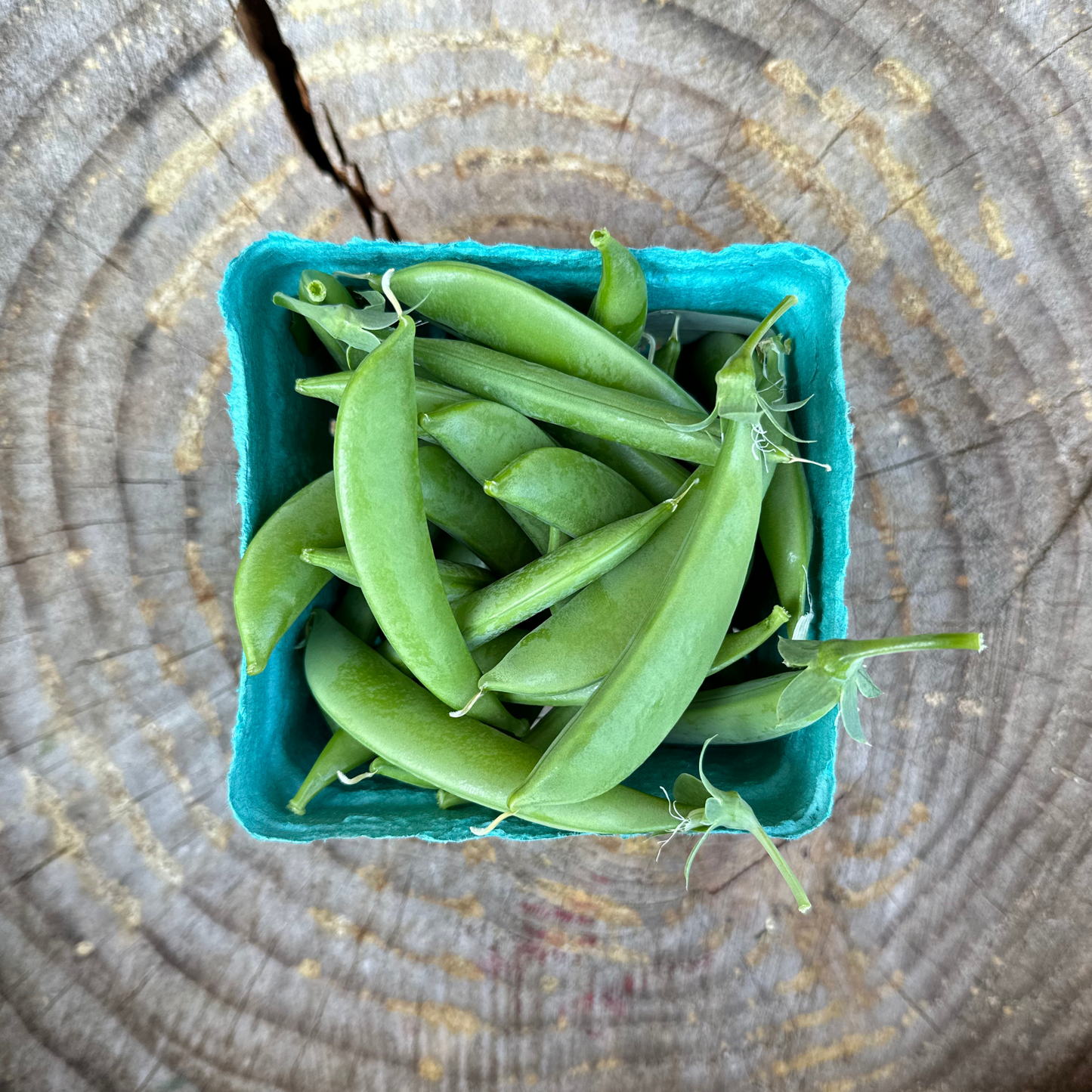 Sugar Snap Peas - per pint