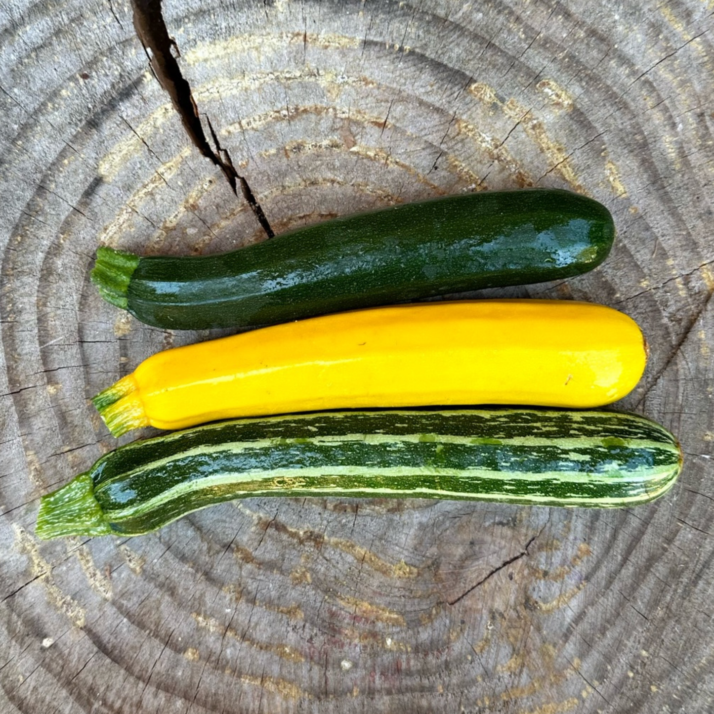 Zucchini: Mixed - per pound