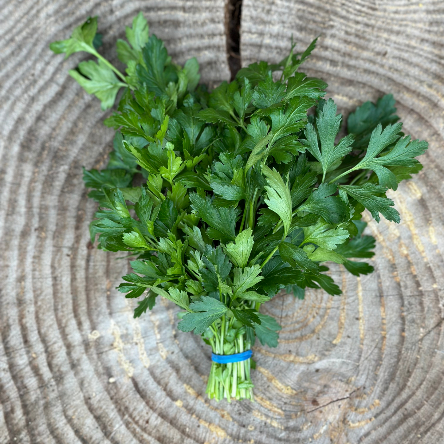 Herbs: Parsley - per bunch