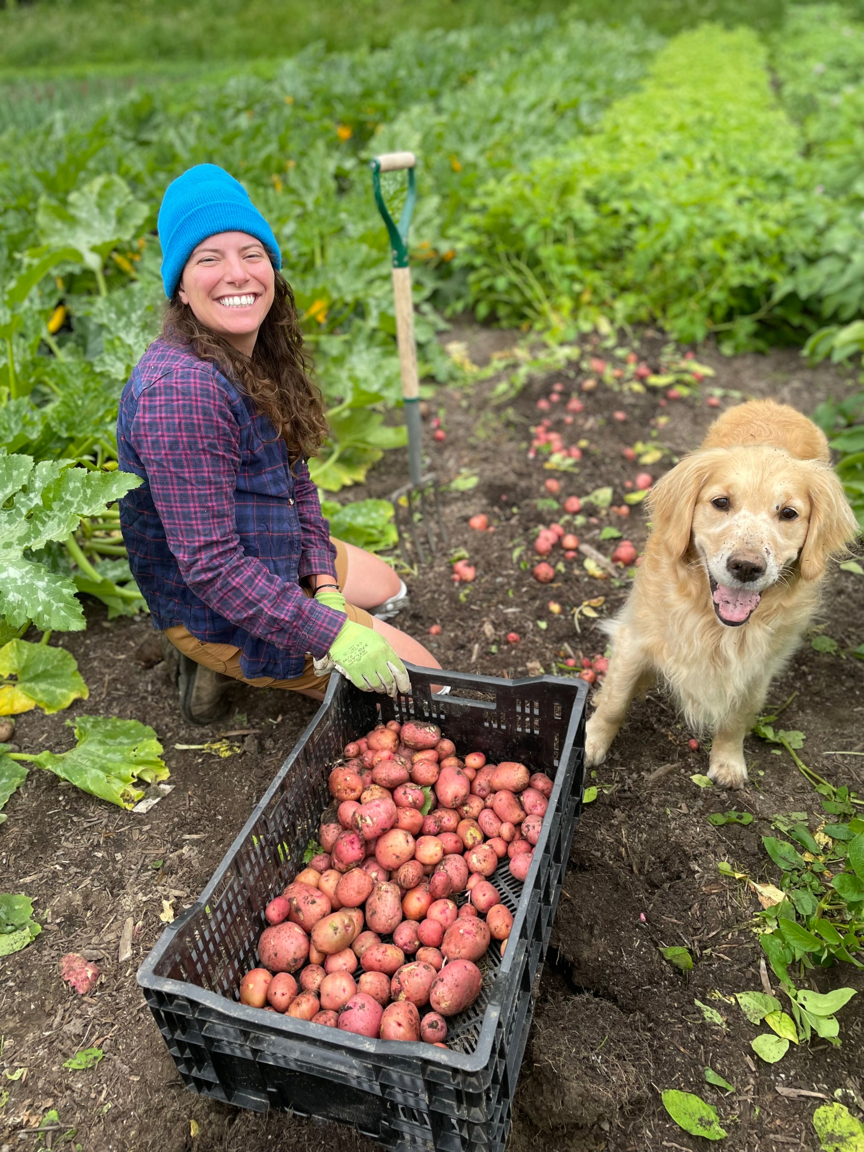 Employment Opportunities – Radicle Roots Farm