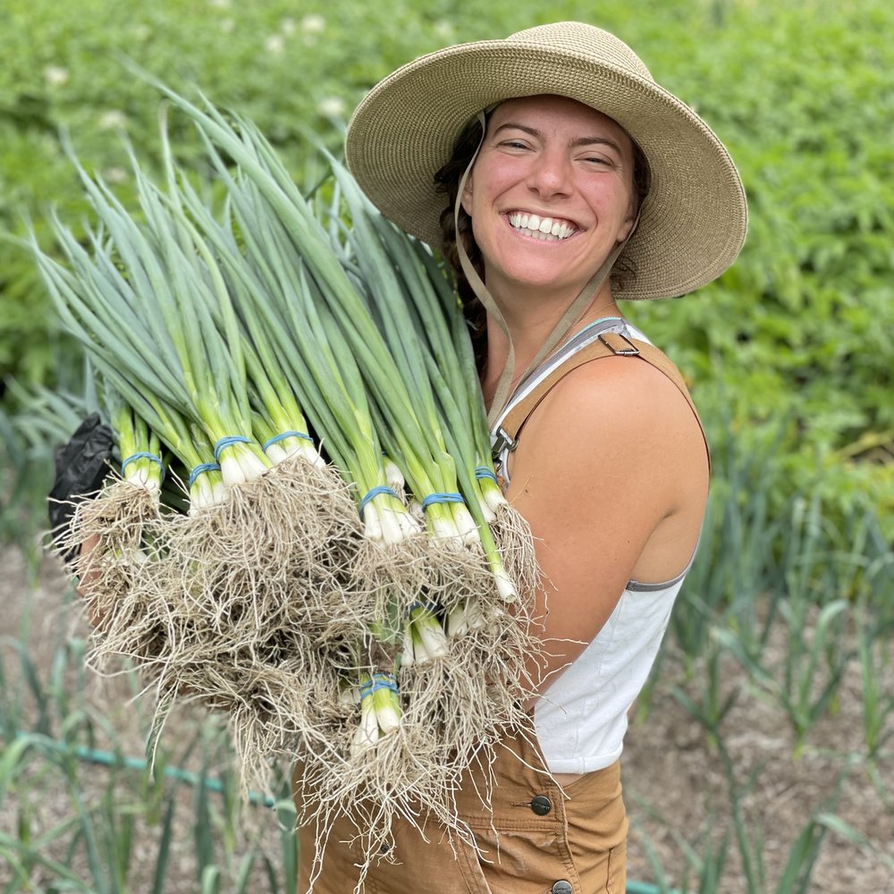 Meet your farmers – Radicle Roots Farm