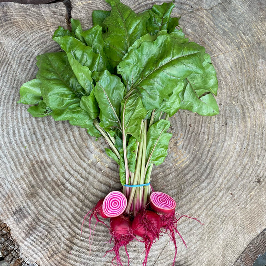 Beets: Chioggia - by the bunch