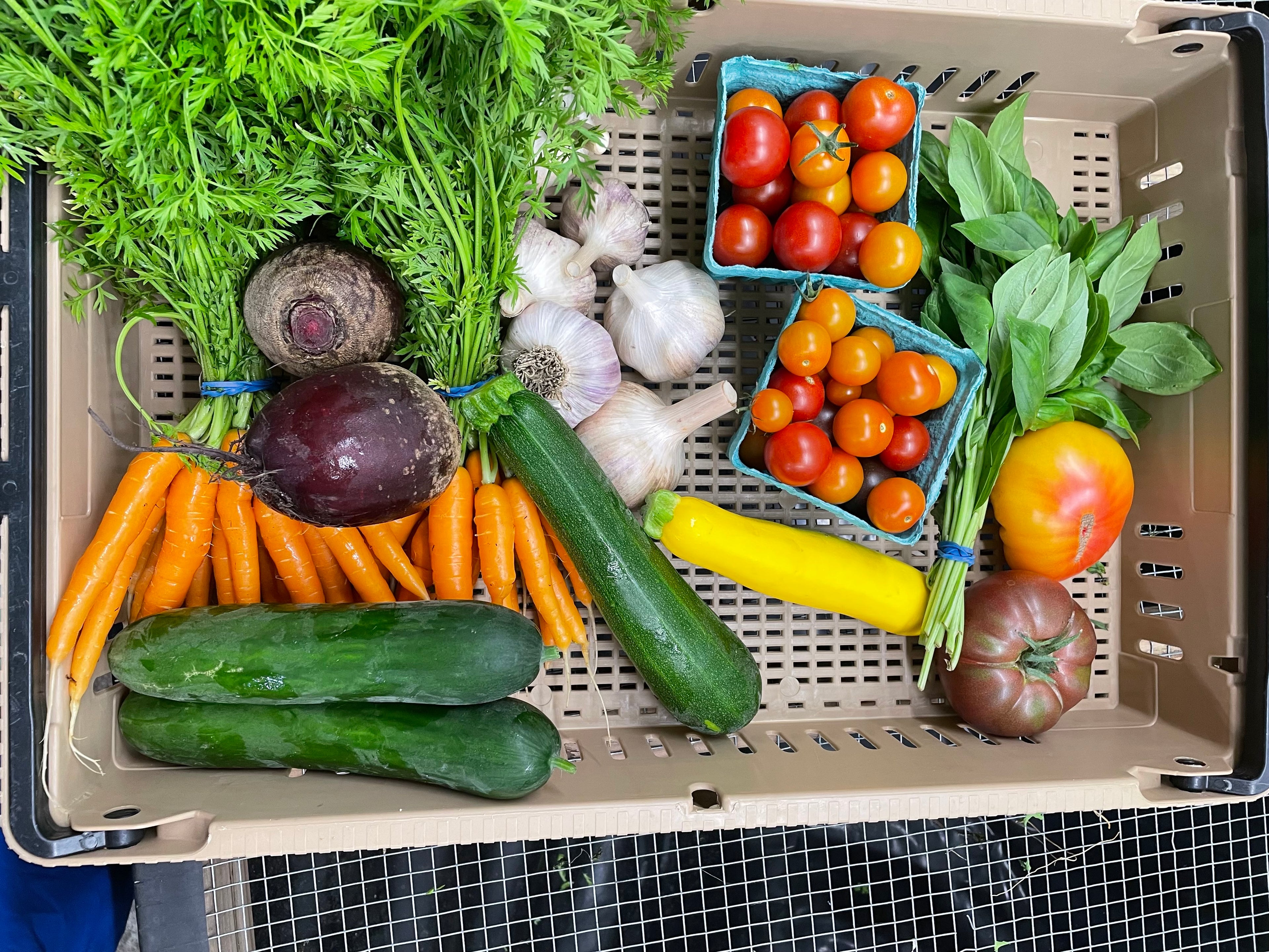 Order online – Radicle Roots Farm