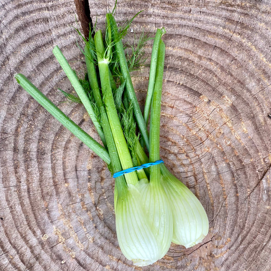 Fennel - by the bunch