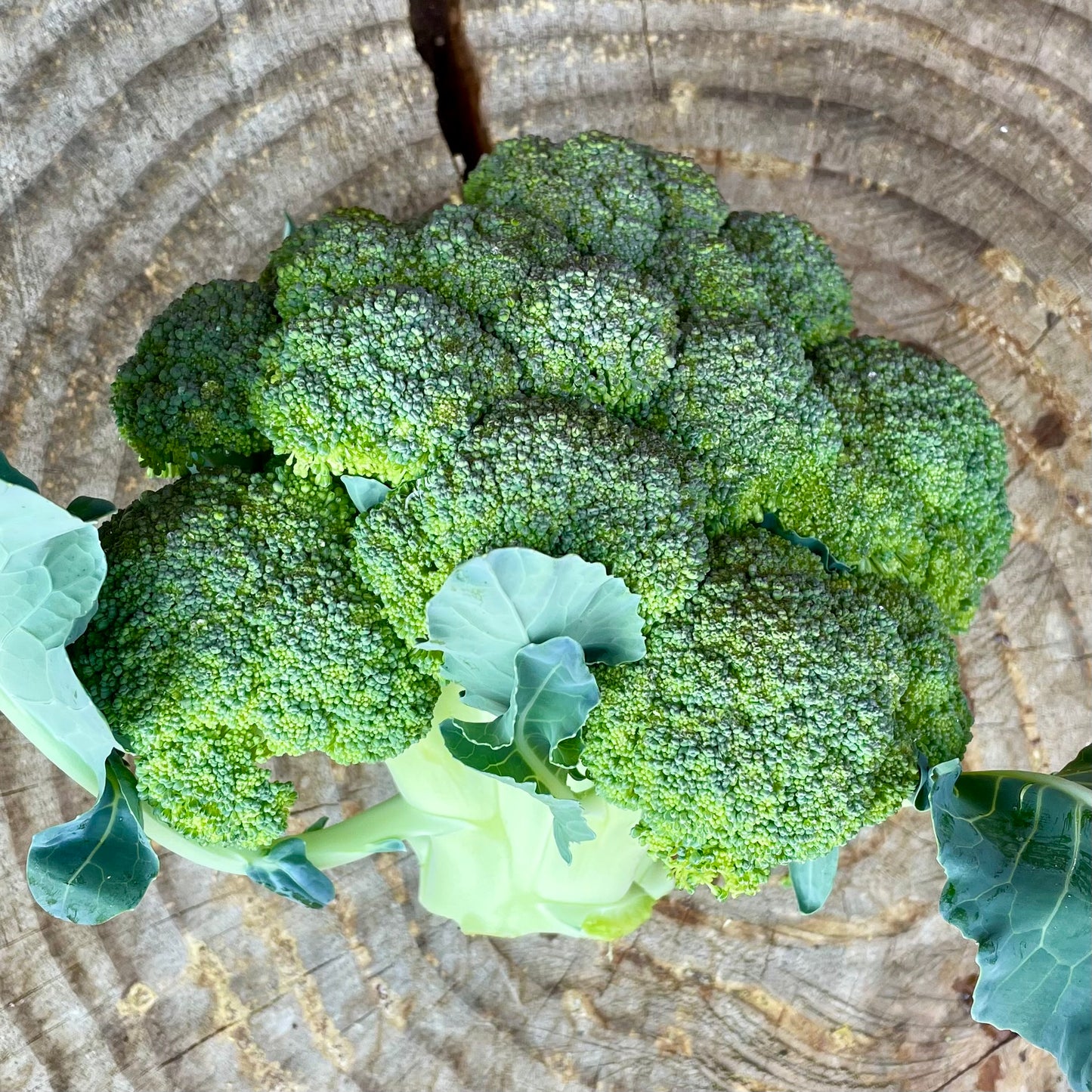 Broccoli: per pound