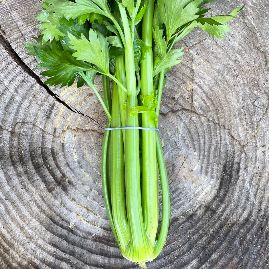 Radicle Roots Online Farm Store – Radicle Roots Farm