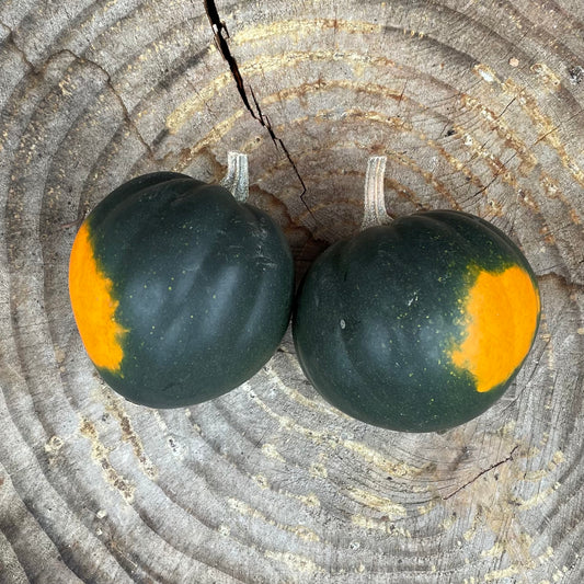 Winter Squash: Acorn - 2lbs