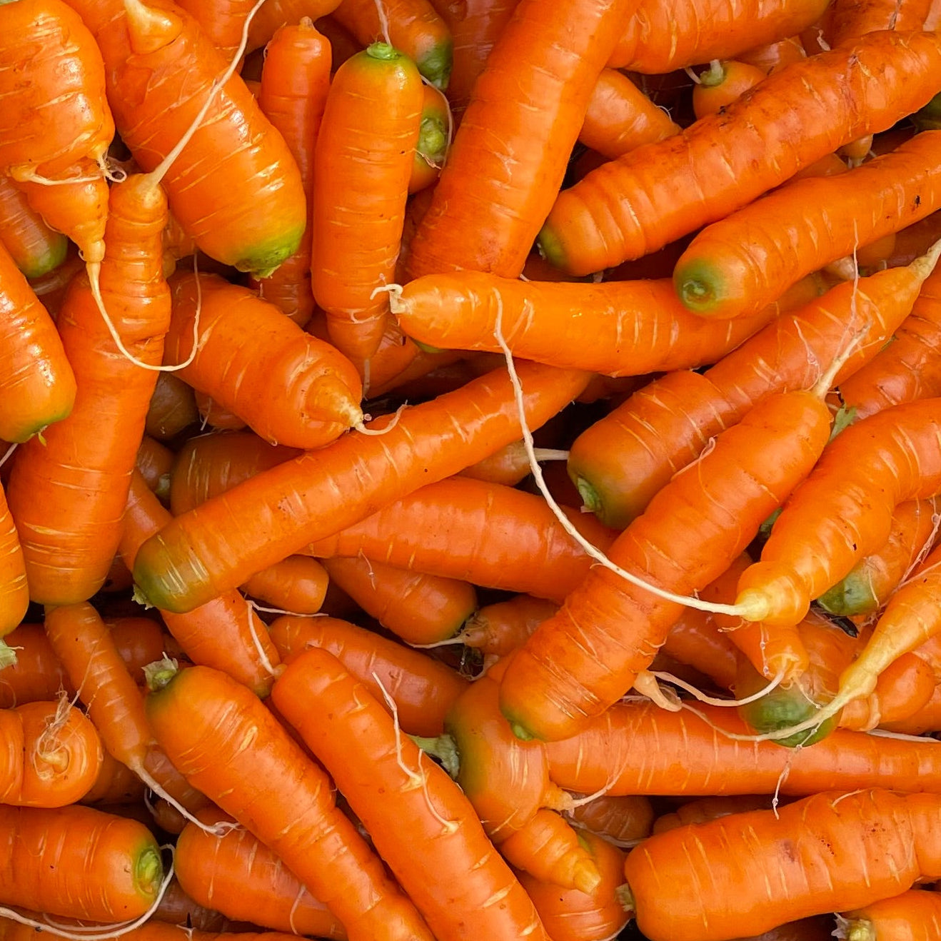 Carrots: Sweet - per pound