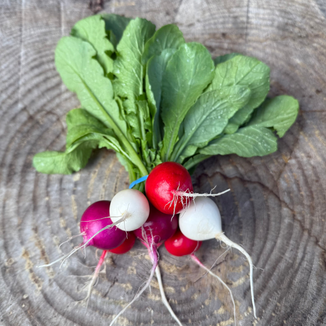 Radicle Roots Online Farm Store – Radicle Roots Farm