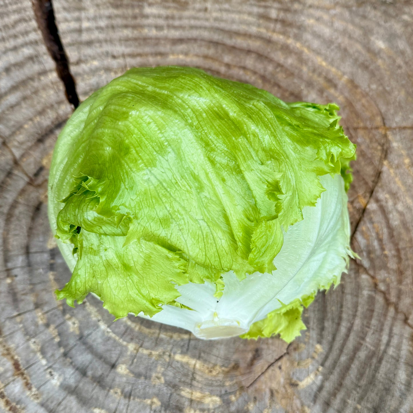Lettuce: Iceberg - per unit