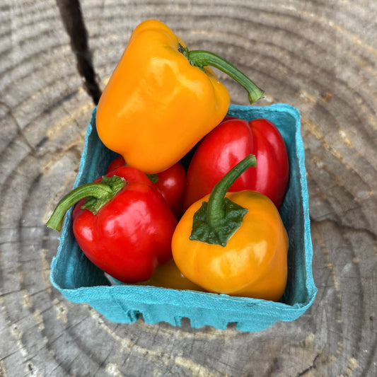 Peppers: Sweet Mini Bells - per pint
