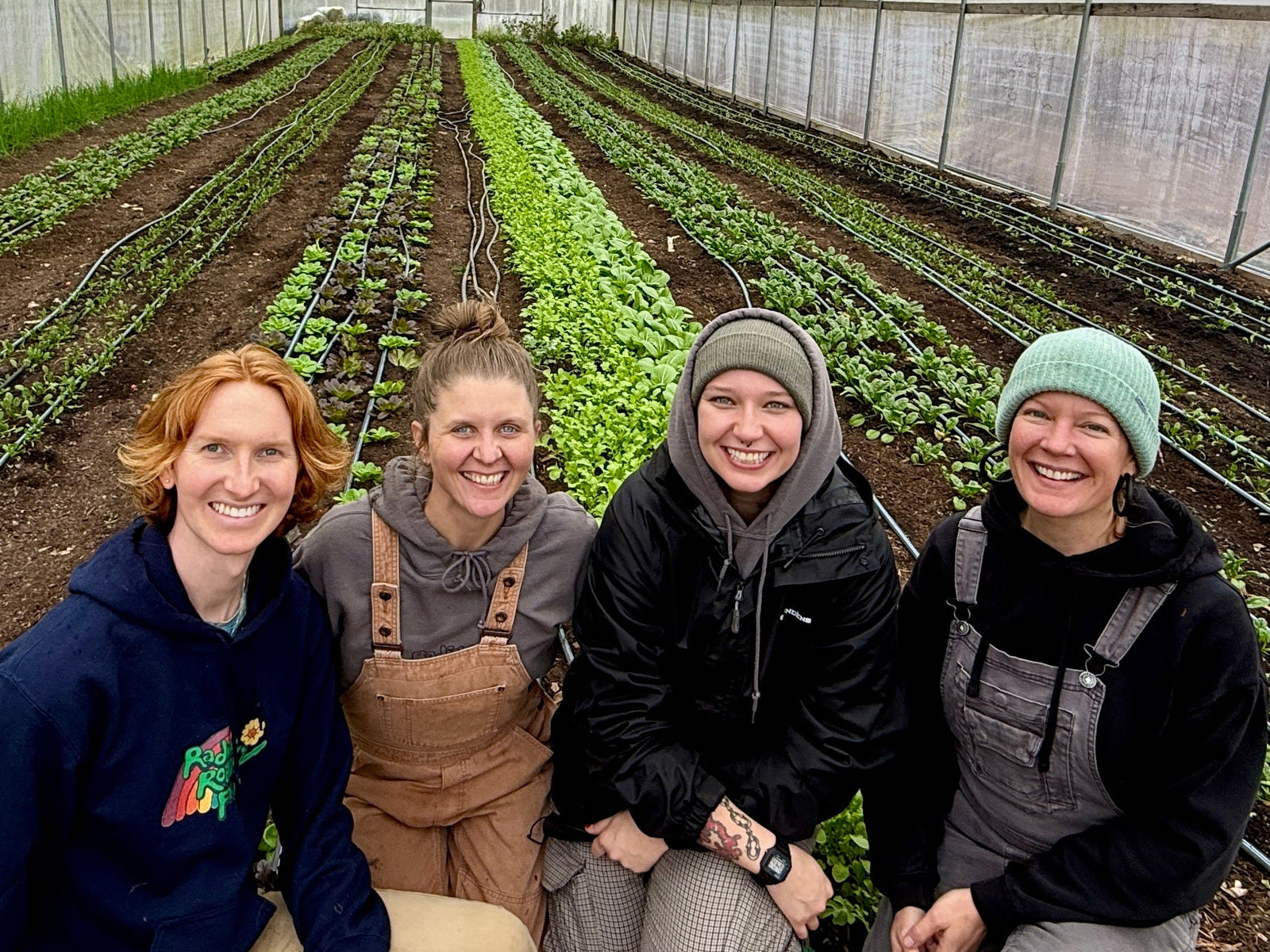 Radicle Roots Farm photo 6