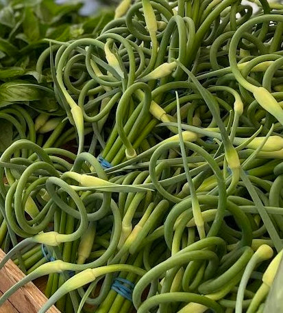 Garlic: Scapes Bulk- by the pound