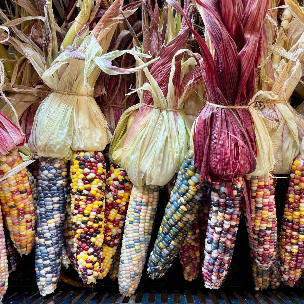 Glass Gem Ornamental Corn Bundles