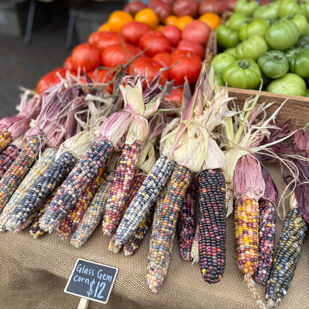 Glass Gem Ornamental Corn Bundles