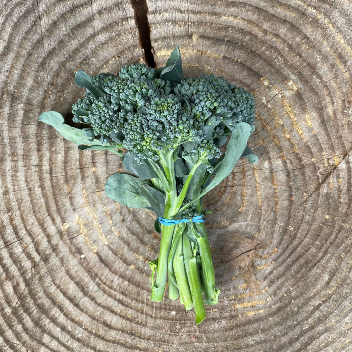 Broccolini - by the bunch