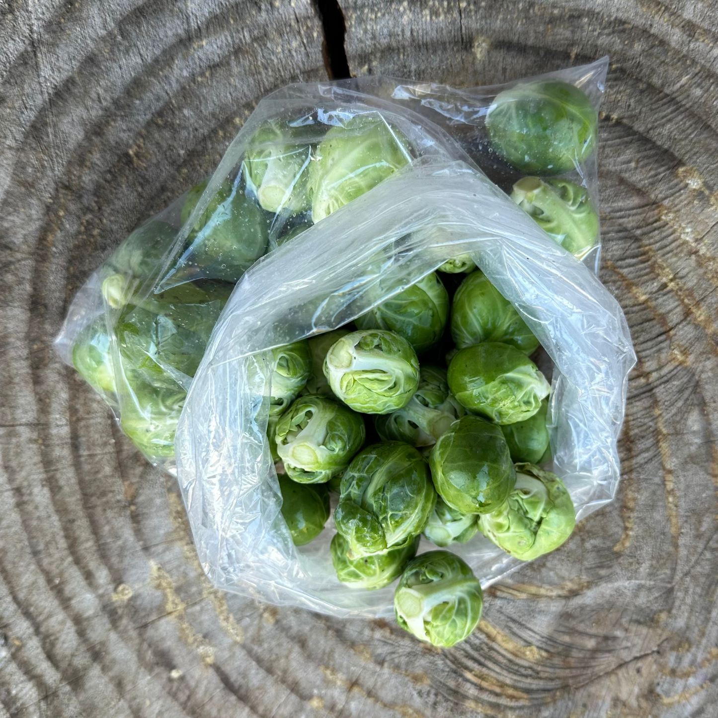 Brussel Sprouts - per pound