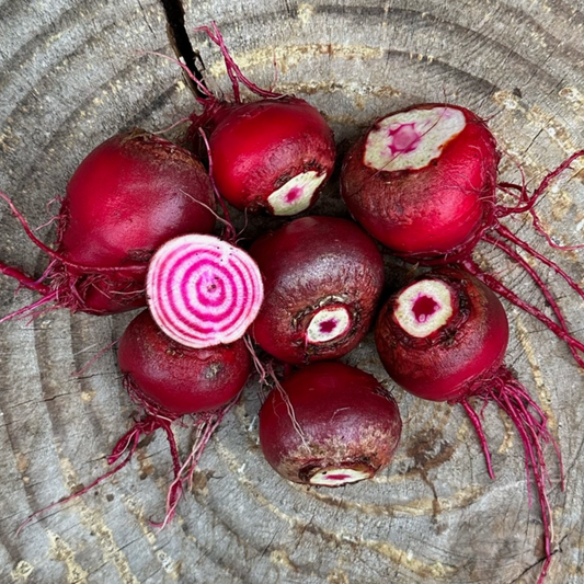 Bulk Beets: Chioggia - per pound