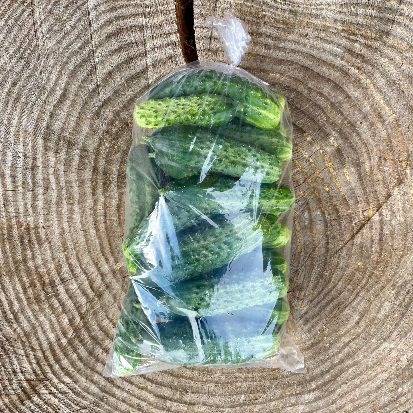 Cucumbers: Pickling bulk: 5 lbs