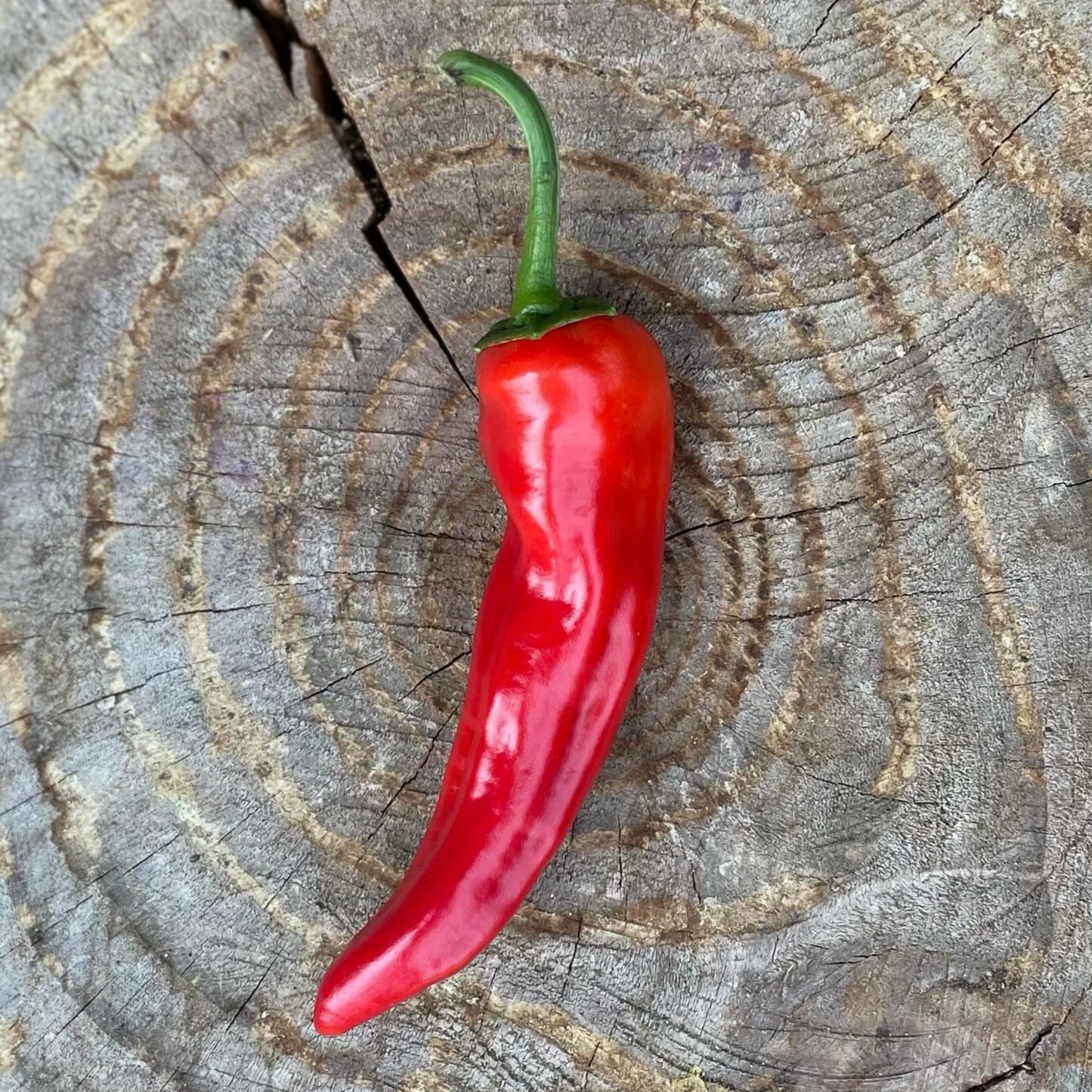 Peppers: Cayenne - per unit