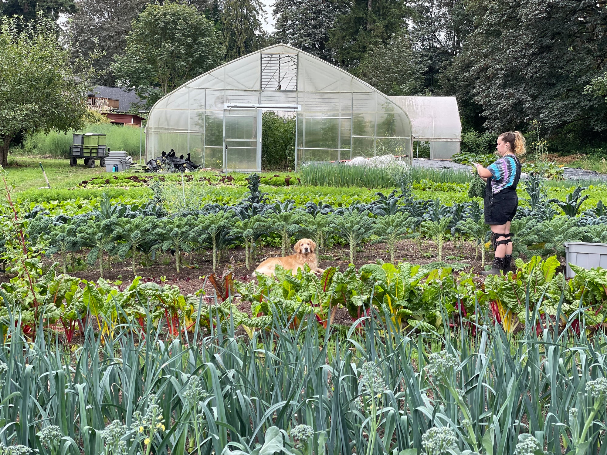 Radicle Roots Farm