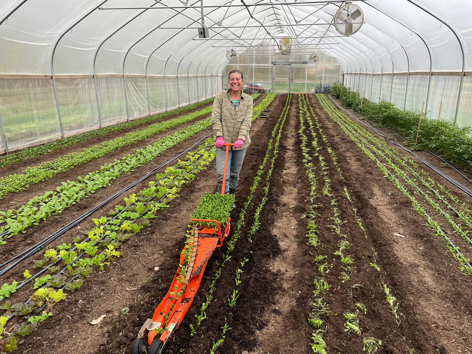Radicle Roots Farm
