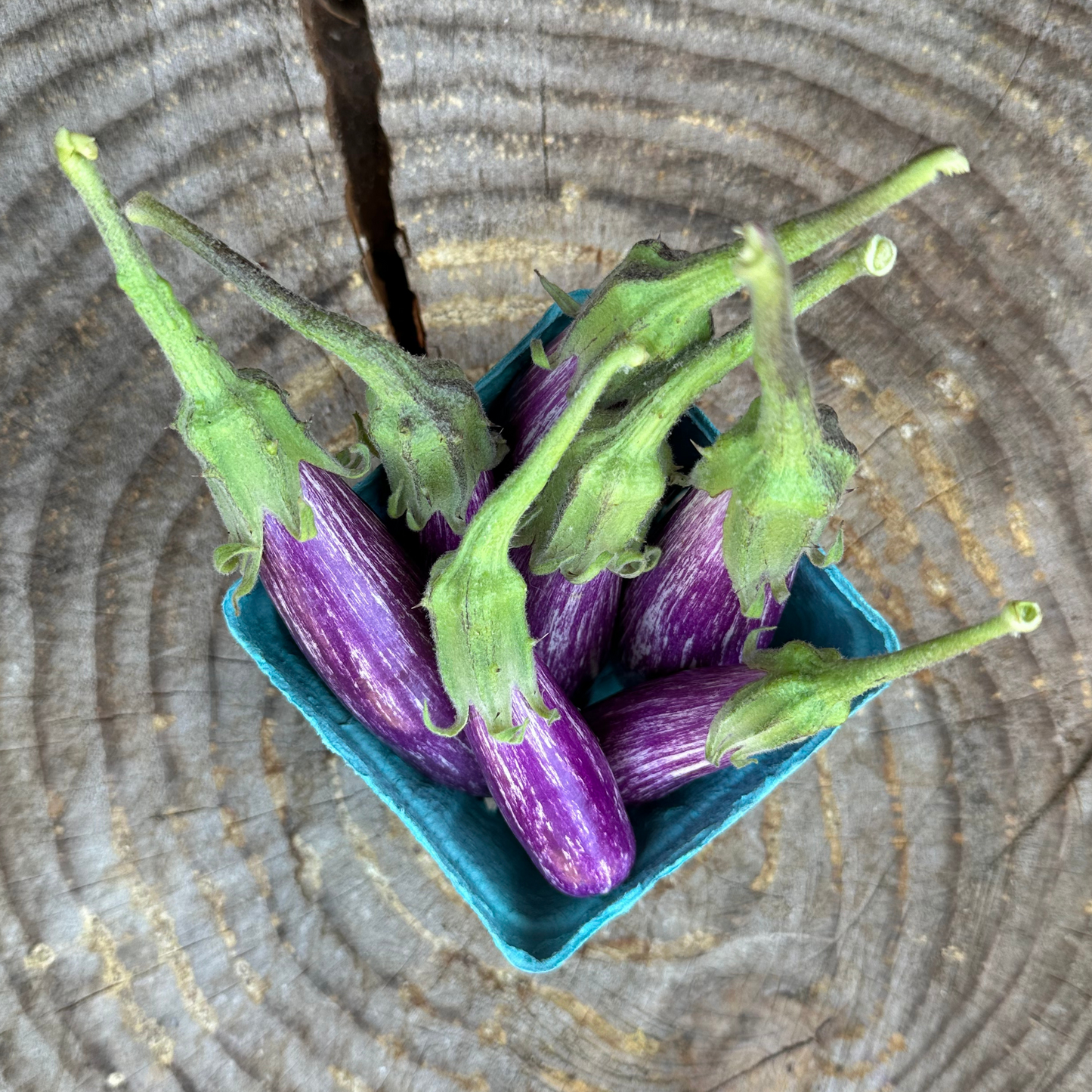 Eggplant: Fairy tale - per pint