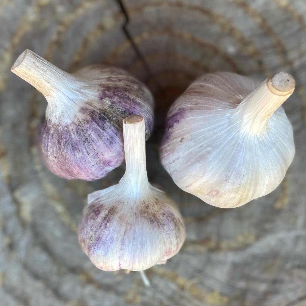 Radicle Roots Online Farm Store – Radicle Roots Farm
