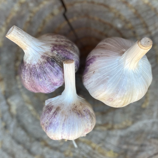 Garlic: Kilarney Red (Hardneck Variety) - per 1/3 lb.