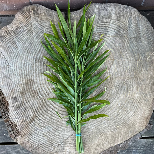 Ginger leaves - per bunch