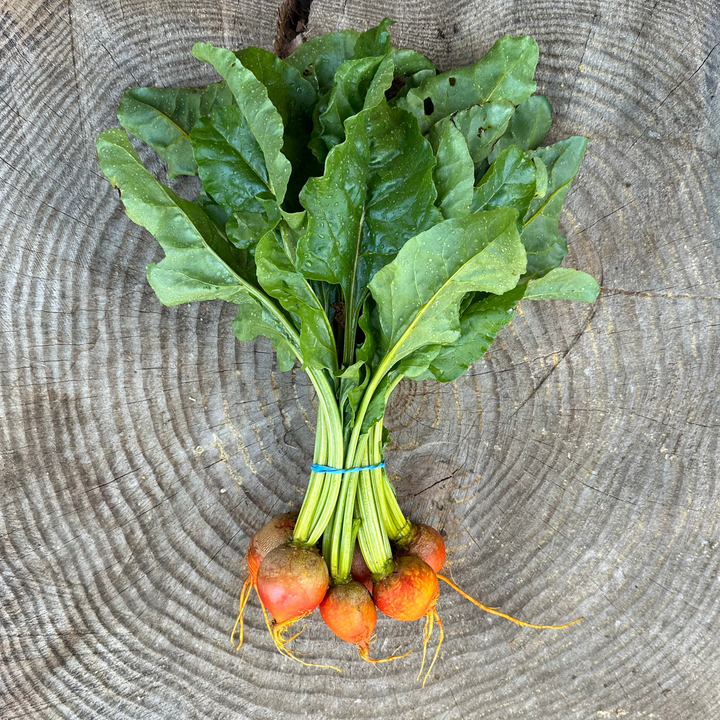 Radicle Roots Online Farm Store – Radicle Roots Farm