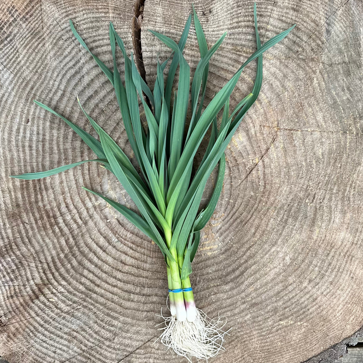 Radicle Roots Online Farm Store – Radicle Roots Farm
