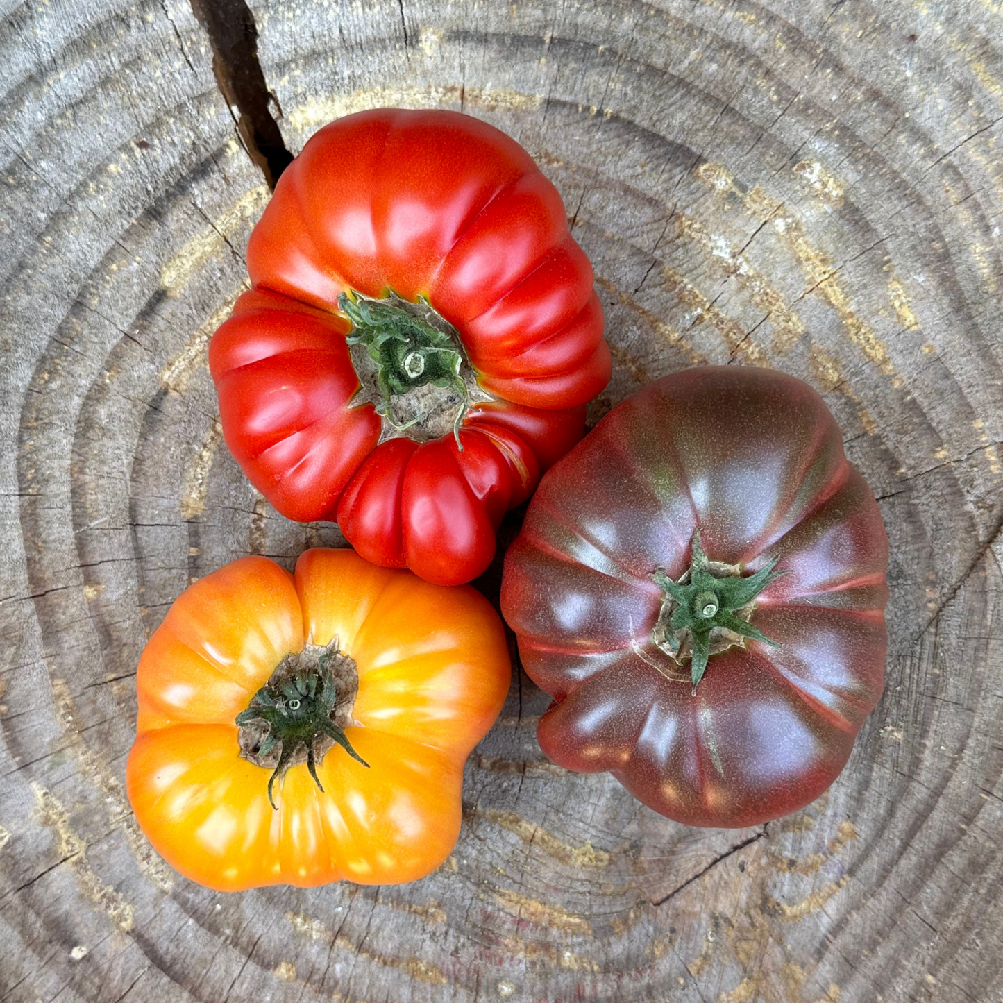 Tomatoes: Mixed Heirloom - per pound
