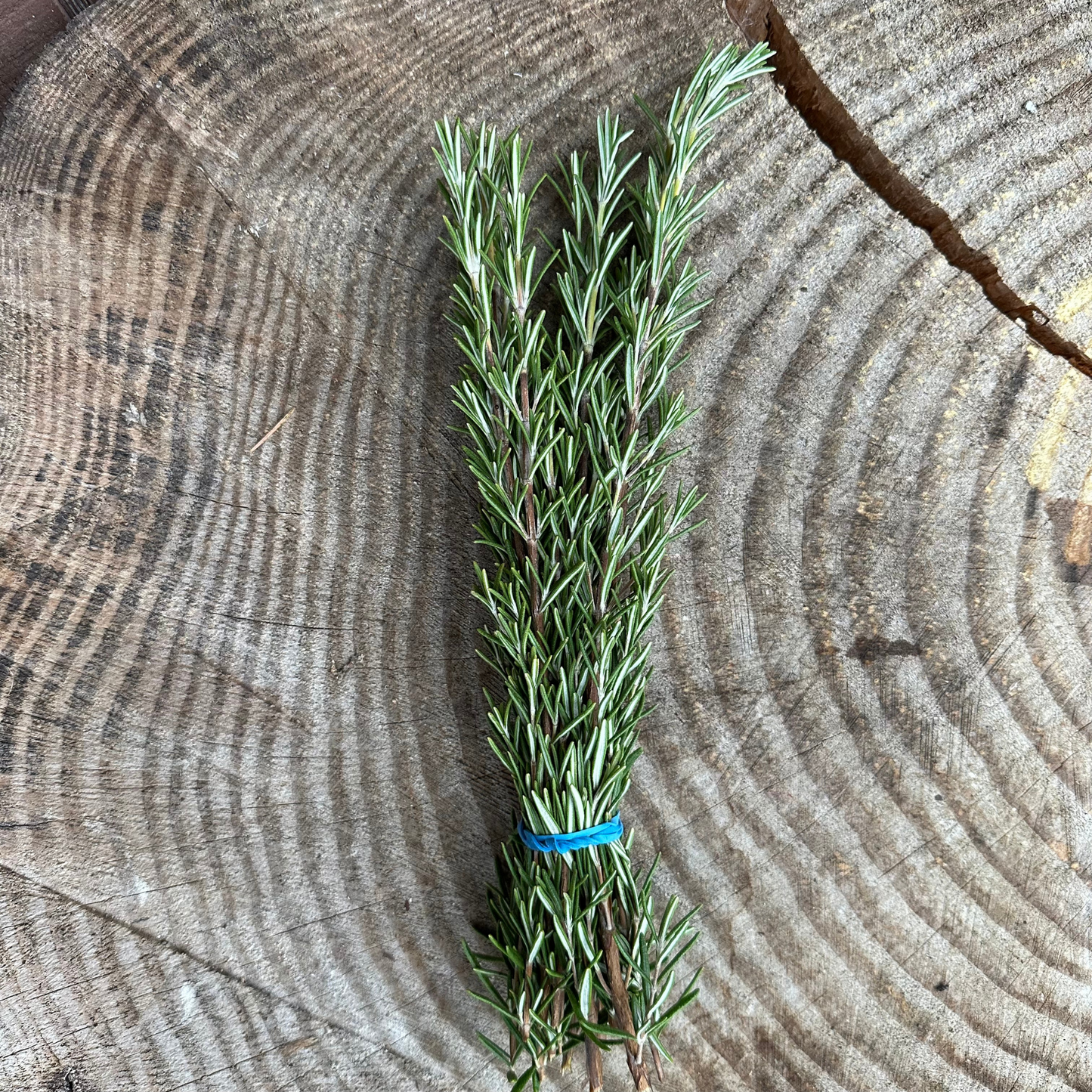 Herbs: Rosemary - per bunch