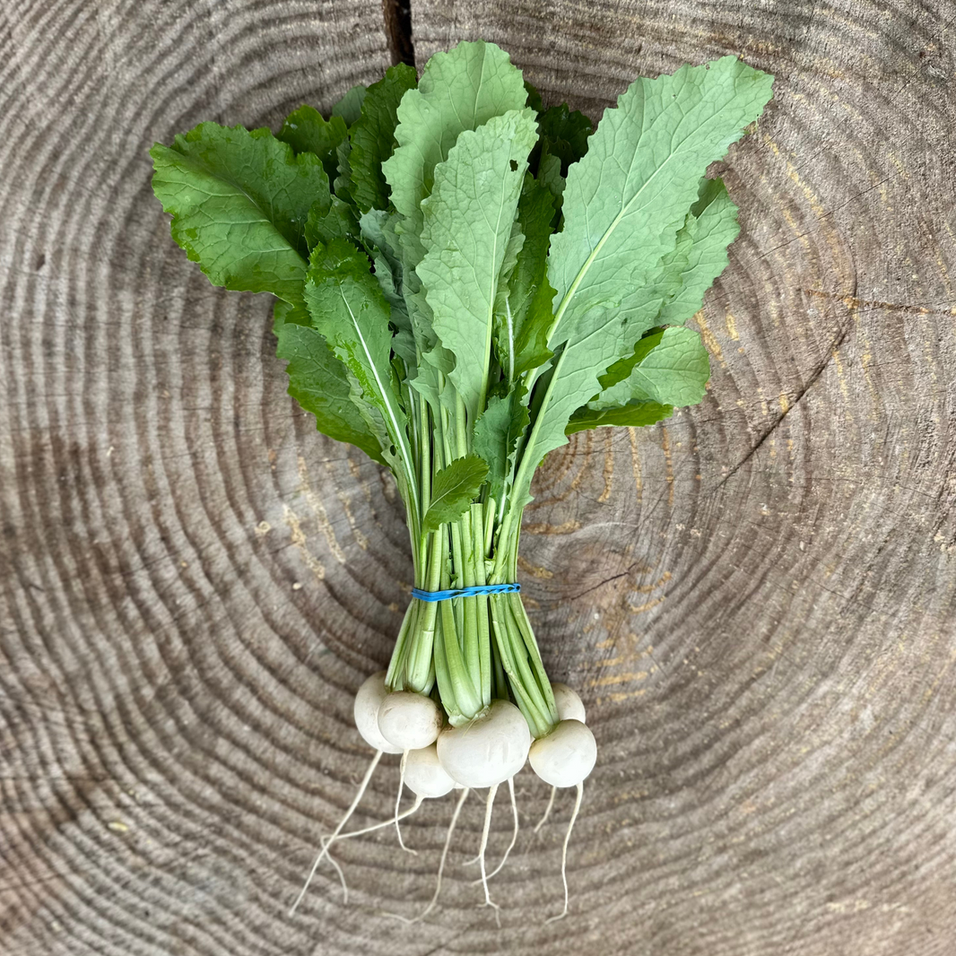 Radicle Roots Online Farm Store – Radicle Roots Farm