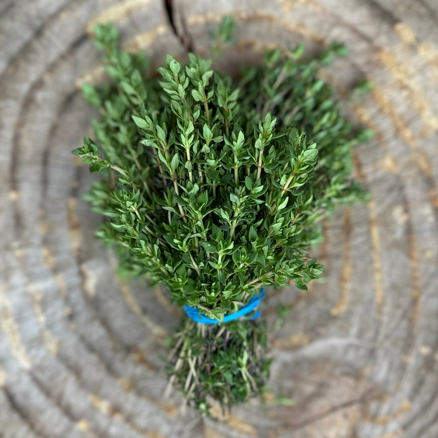 Herbs: Thyme - per bunch