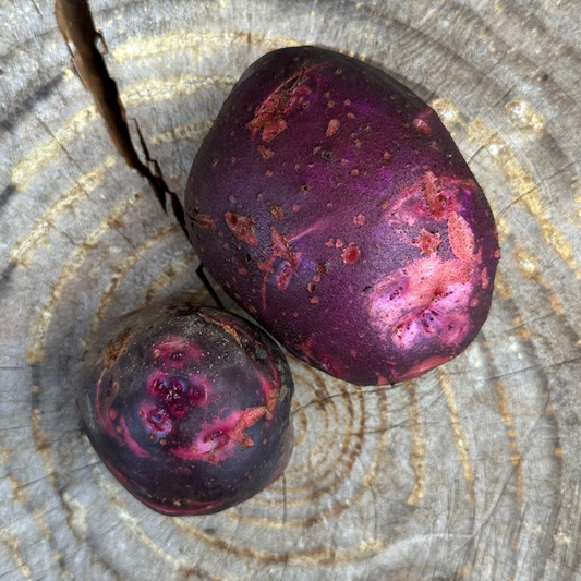 Potatoes: Purple Viking - per pound