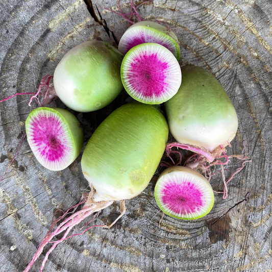 Winter Radish: Watermelon - per pound