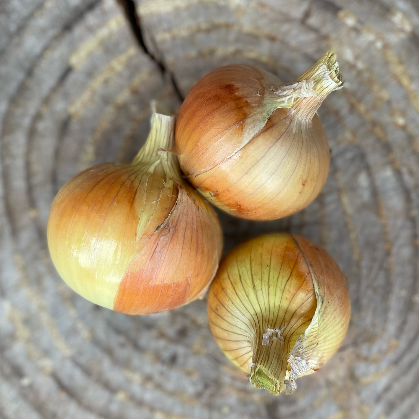 Onions: Yellow - per pound