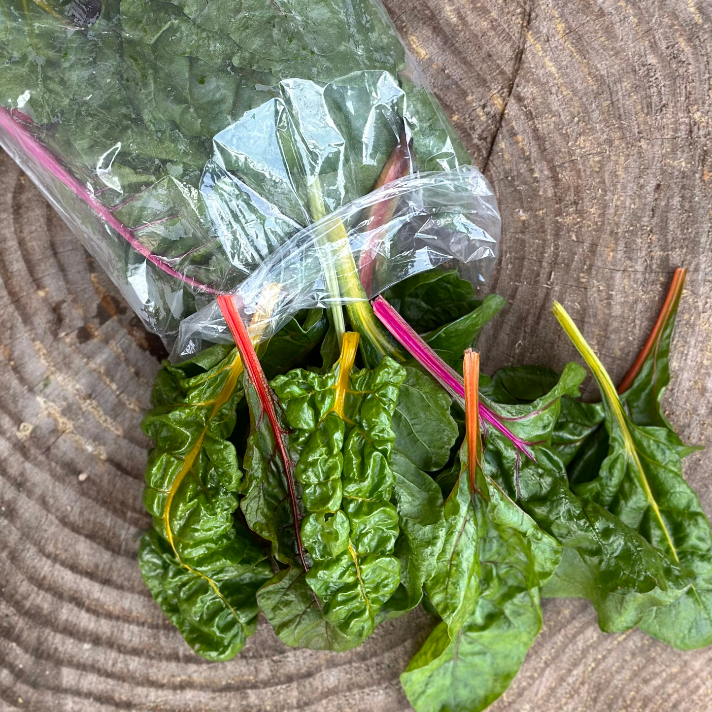 Rainbow Chard - 1/2 lb bag